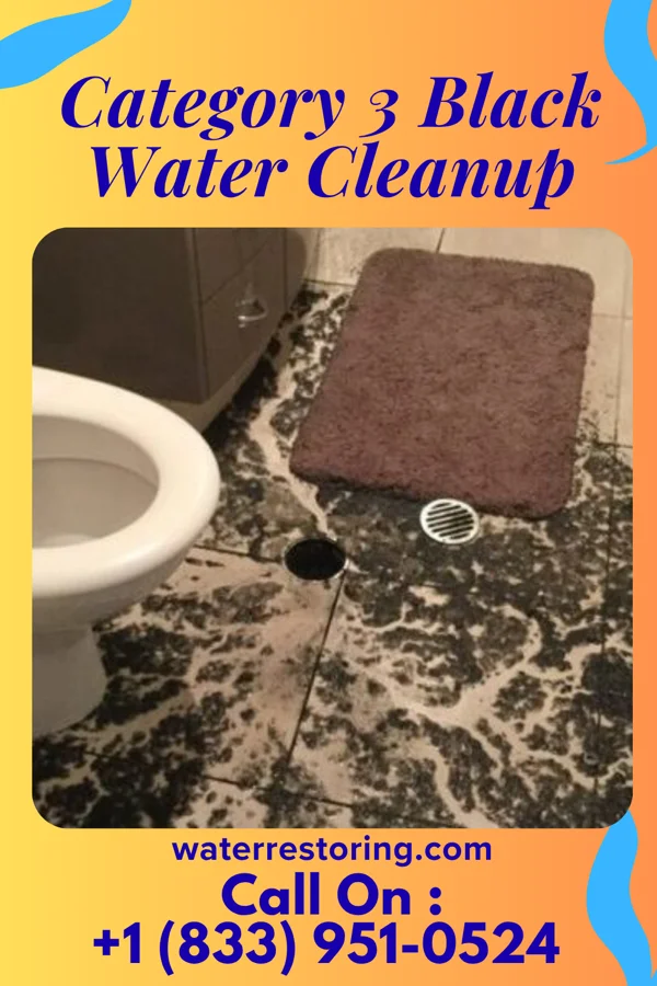 Category 3 Black Water Cleanup in Barre, VT