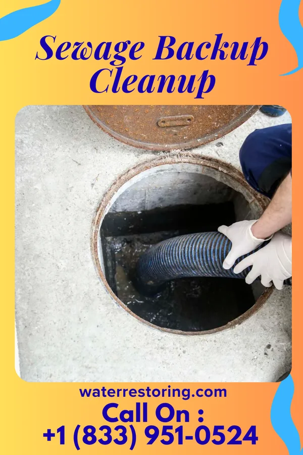 Sewage Backup Cleanup in Barre, VT