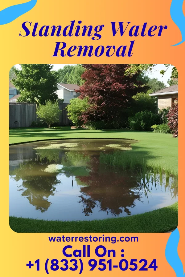 Standing Water Removal in Barre, VT